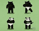 La vérité sur le Panda ! 