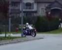 Pub Suzuki : un motard promène son petit chien